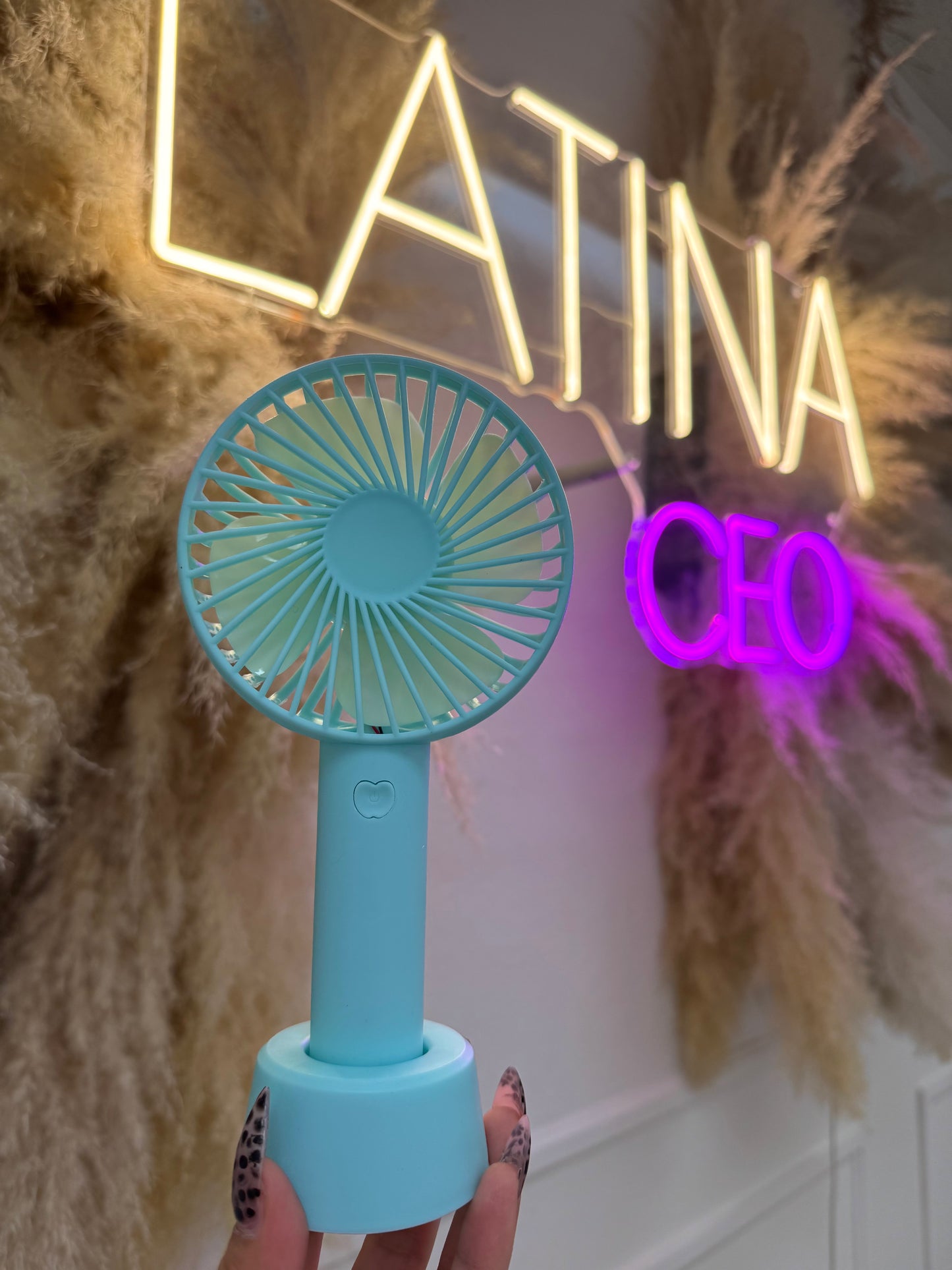 Handheld Portable Electric Fan